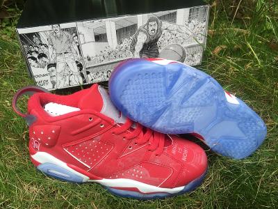 Air Jordan 6-246